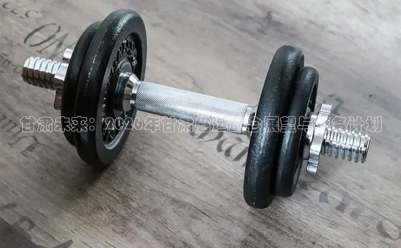 飞速体育