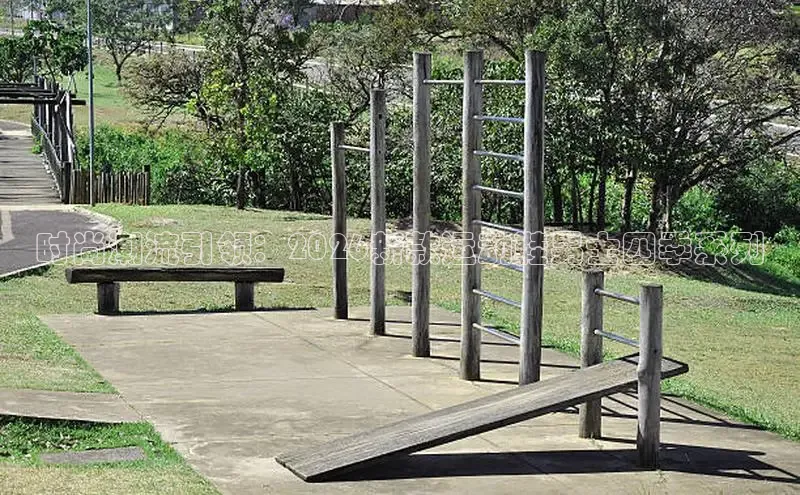 飞速体育直播